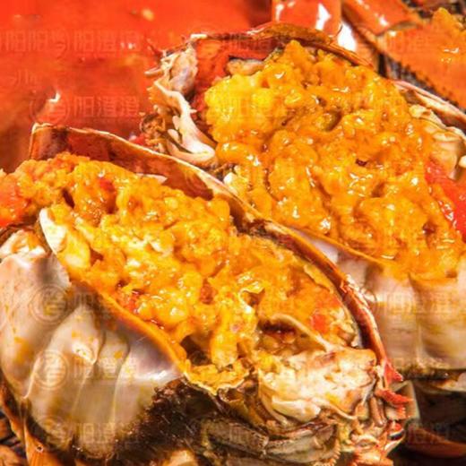 【阳澄湖大闸蟹礼券】 3对/4对/5对装 康辉甄选阳澄湖大闸蟹礼券团购 商品图1