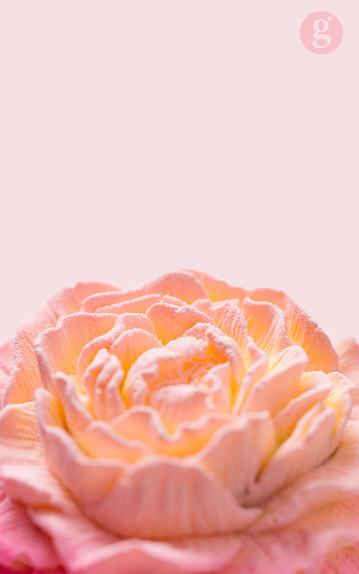 限定系列·花神小甜品 商品图0