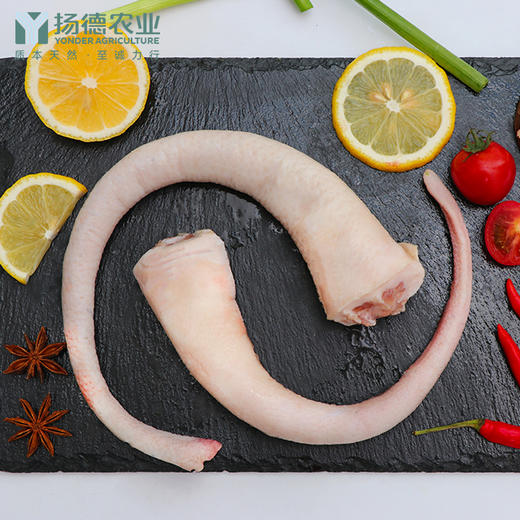 猪尾巴 商品图4