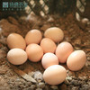 【超级爆款-排队至4月16后日发货】扬德林下土鸡蛋（40枚/箱） 商品缩略图2