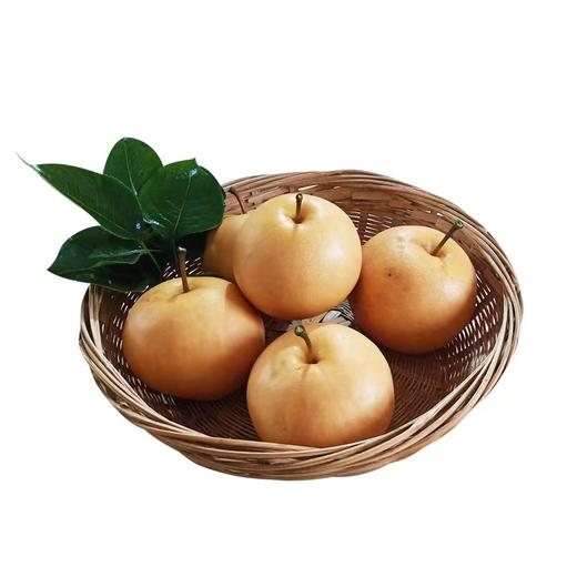 小空山有机圆黄梨礼 商品图0