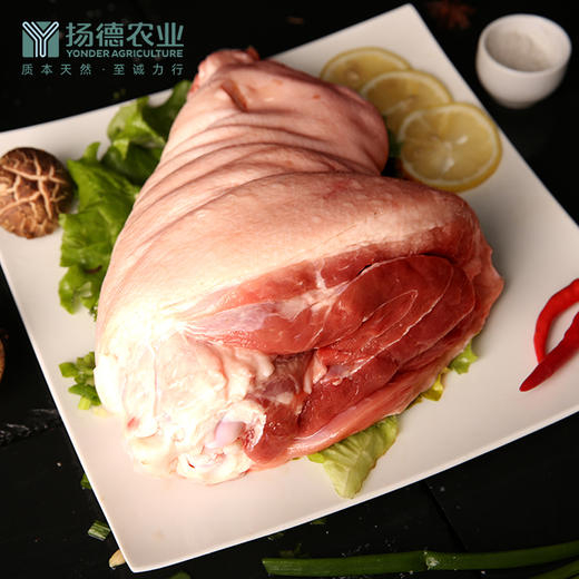 后肘（约1470g/个） 商品图4