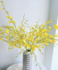 文心兰（纯黄跳舞兰）10枝/扎  多规格 商品缩略图4