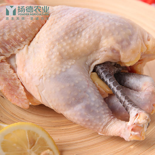 【超级爆款，明星产品】扬德林下土鸡 （1000g~1500g/袋） 商品图2