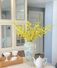 文心兰（纯黄跳舞兰）10枝/扎  多规格 商品缩略图10