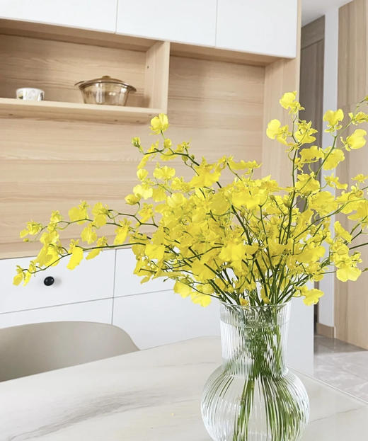 文心兰（纯黄跳舞兰）10枝/扎  多规格 商品图9