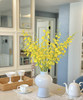 文心兰（纯黄跳舞兰）10枝/扎  多规格 商品缩略图8