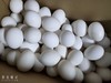 100枚乌鸡蛋一箱 商品缩略图1