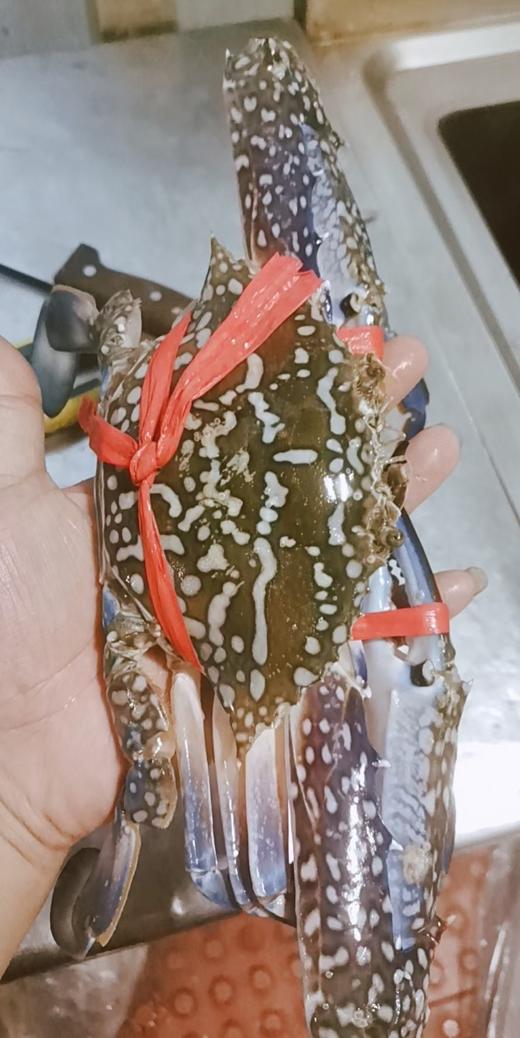 【兰花蟹】 商品图5