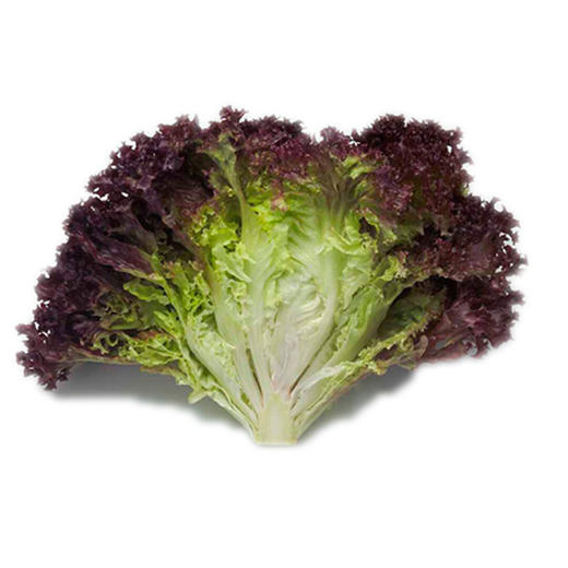 【生鲜预定】紫生菜500g 商品图0