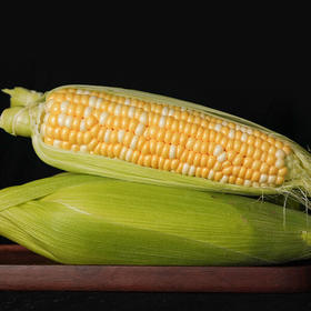 【生鲜预定】壳玉米1kg