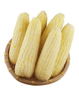 丑糯 黑土地种植甜檽白玉米