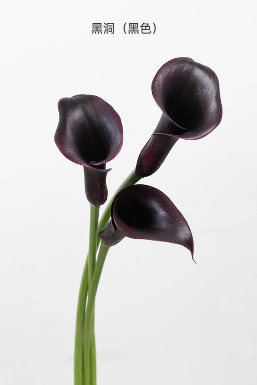 3月31日马蹄莲黑洞A级-5支（L农场） 商品图0