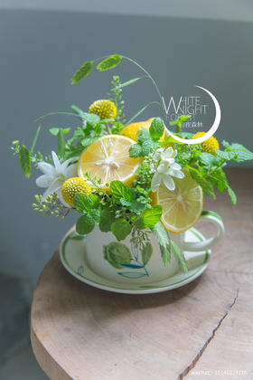 柠檬薄荷夜来香咖啡杯花