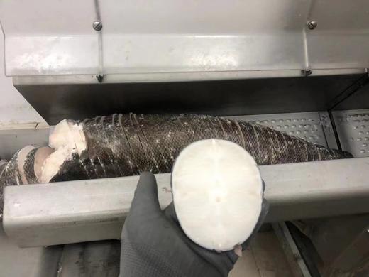 法国银鳕鱼 全中段原切 商品图1