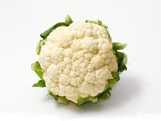 白花菜  500g 商品图0