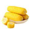 圣上壹品黄糯玉米棒玉米粒香甜糯东北黏苞米可拉丝真空 商品缩略图1