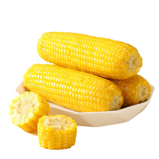 圣上壹品黄糯玉米棒玉米粒香甜糯东北黏苞米可拉丝真空 商品图1