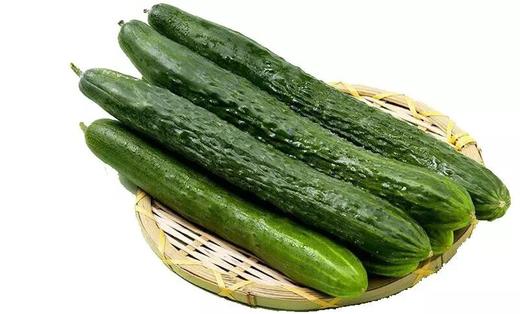 刺黄瓜  500g 商品图0