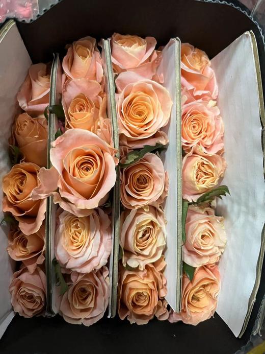 【秒杀福利】微光  20支/扎 商品图4