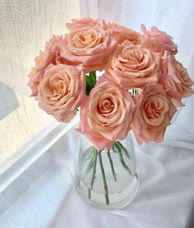 【秒杀福利】微光  20支/扎