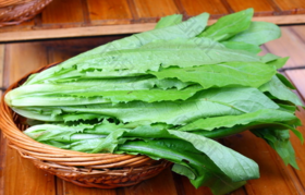 油麦菜（青笋尖） 500g