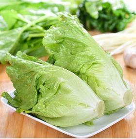 生菜 500g