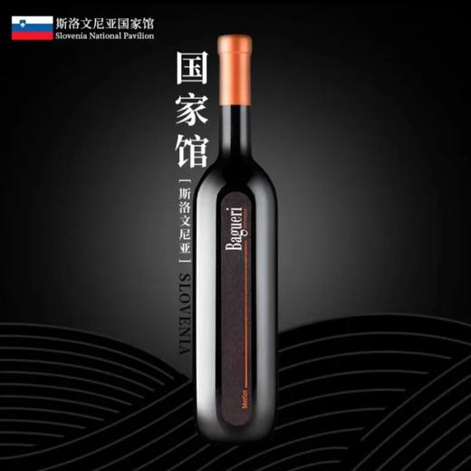 巴瑰丽梅洛干红葡萄酒 商品图0