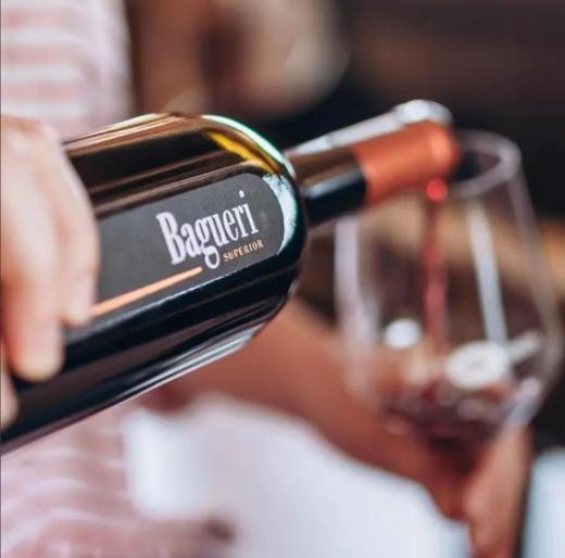 巴瑰丽梅洛干红葡萄酒 商品图5