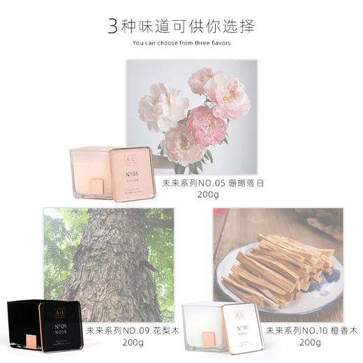 AL美通香薰蜡烛卧室未来系列无火无烟蜡烛椰油 商品图2