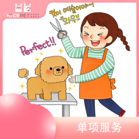 Nice Pet狗狗单项服务系列