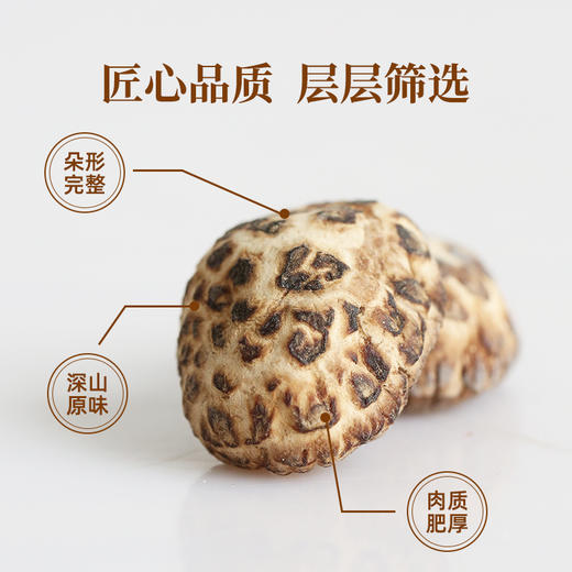 【2件立减30元】十堰特产 京堰 小花菇250g罐装（保质期到2026年11月26日，介意勿拍） 商品图3