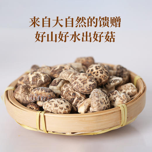 【2件立减30元】十堰特产 京堰 小花菇250g罐装（保质期到2026年11月26日，介意勿拍） 商品图2