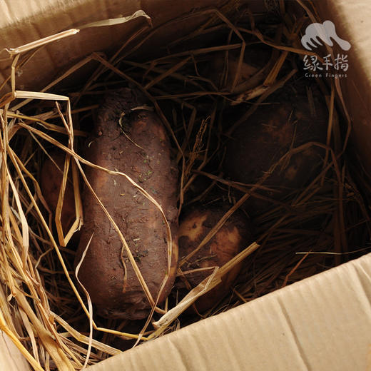 生态脆藕（四川） | 合作生产* Eco-lotus root | Coproduction 商品图2