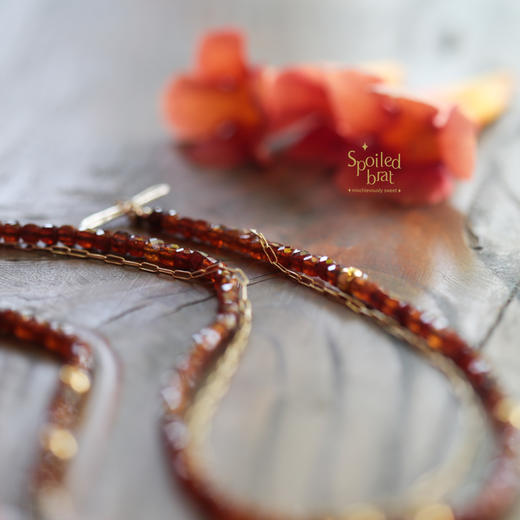 SpoiledBrat Jewelry石榴石OT扣项链 商品图4