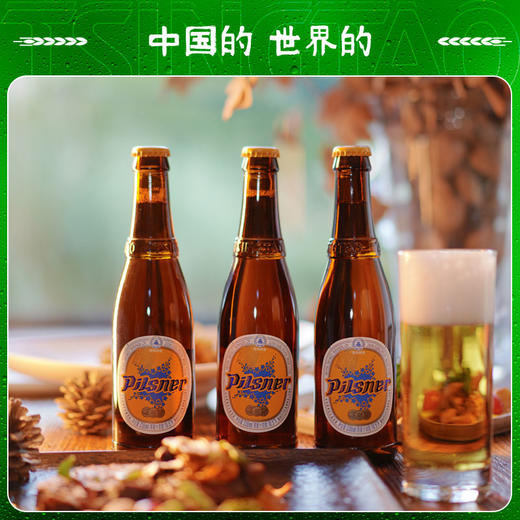 青岛啤酒 皮尔森330ml*24瓶/箱 商品图2