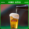 青岛啤酒 皮尔森450ml*12瓶/箱 商品缩略图5
