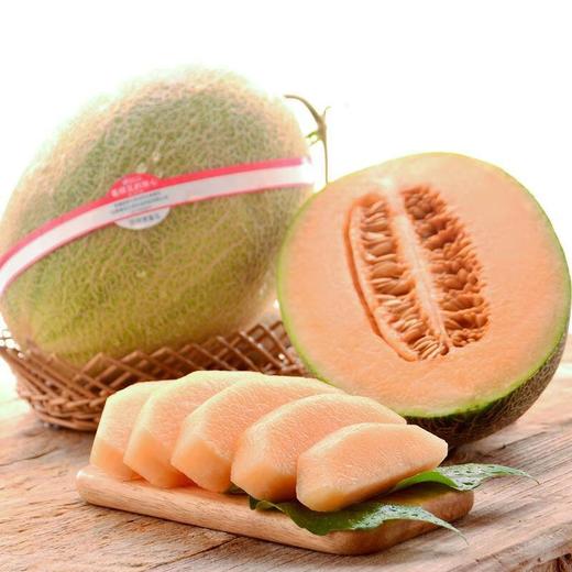 放心西州密蜜瓜 约1.5kg+/个 商品图0