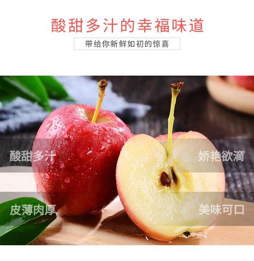 新疆伊犁香妃海棠 果汁丰富果色娇艳 商品图6