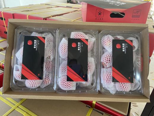 新疆伊犁香妃海棠 果汁丰富果色娇艳 商品图7