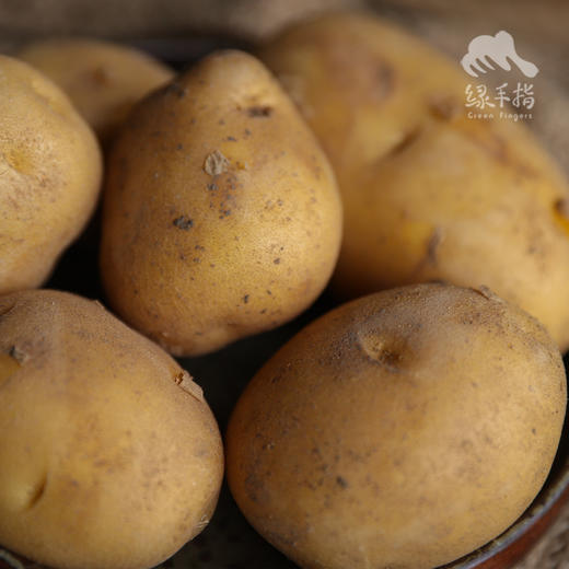 生态羊粪土豆 | 合作生产* Eco- potato | Coproduction 商品图5