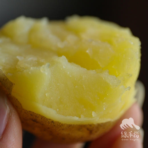 生态羊粪土豆 | 合作生产* Eco- potato | Coproduction 商品图3