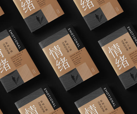 情绪：影响正确决策的变量；霍金《时间简史》的合著者、“会讲故事”的科学作家列纳德·蒙洛迪诺重磅新作 彭凯平、万维钢作序推荐；吴军、罗振宇、陈海贤推荐 商品图3