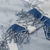 故宫联名 定制印花流苏披肩毯 商品缩略图4