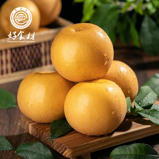 CY-莱西秋月梨 商品图2