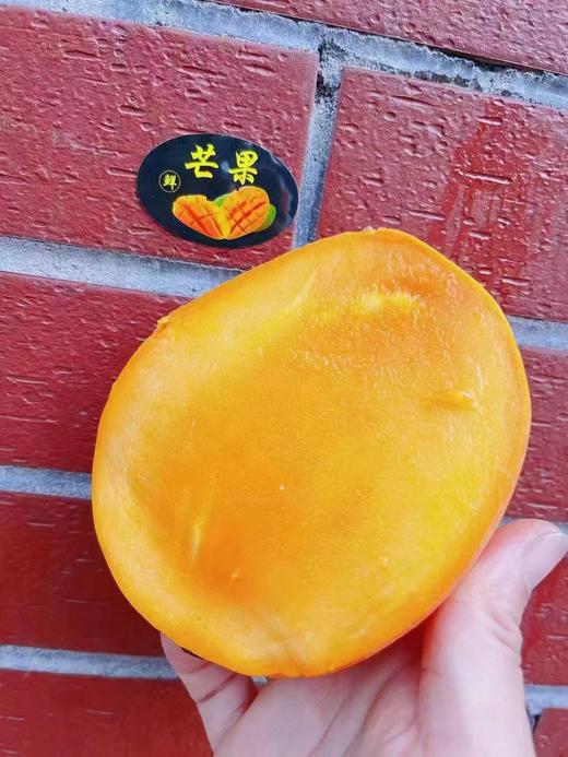 澳芒2个 商品图2