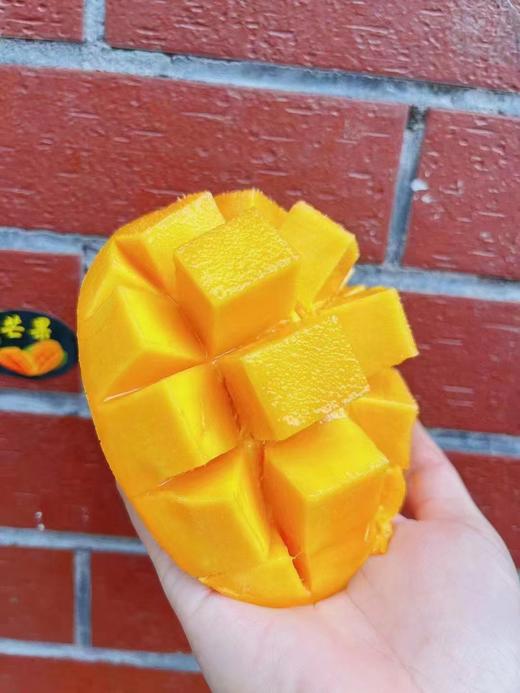 澳芒2个 商品图1