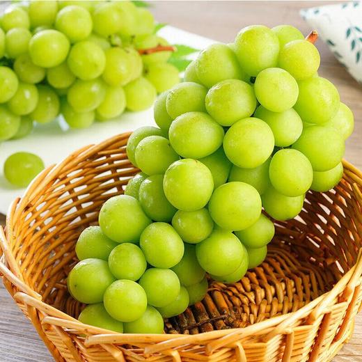 阳光玫瑰葡萄AA果 约800g/份 商品图0