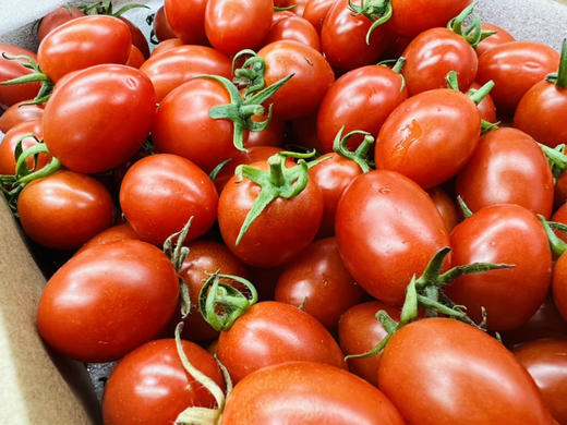 小番茄，国内绿色种植，浓郁爆浆，甜度高 商品图5