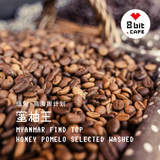 捌比特缅甸高海拔 蜜柚王 北欧浅烘水洗铁皮卡精品手冲咖啡豆250g 商品图3